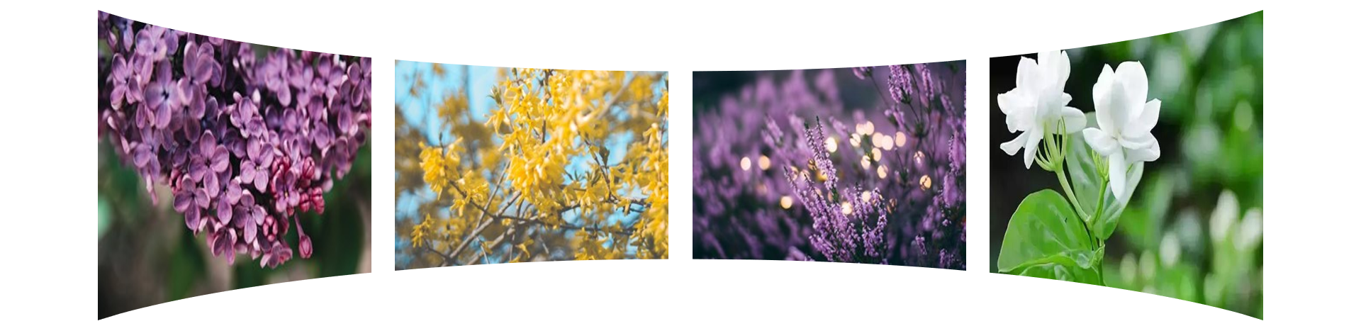 上海钮爱环保科技有限公司官网